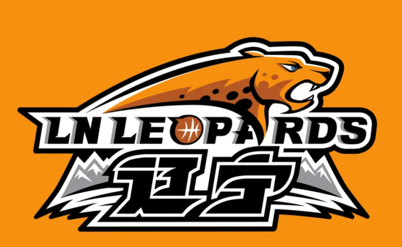 辽篮实控人变更！媒体人：为保住辽篮注册新公司，并非引入新投资人